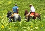 Fantasy Ranch Horseback Adventures - Crested Butte Horseback Riding