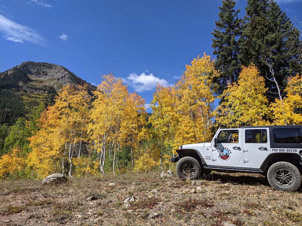 Crested Butte Fall Foliage Jeep Tour