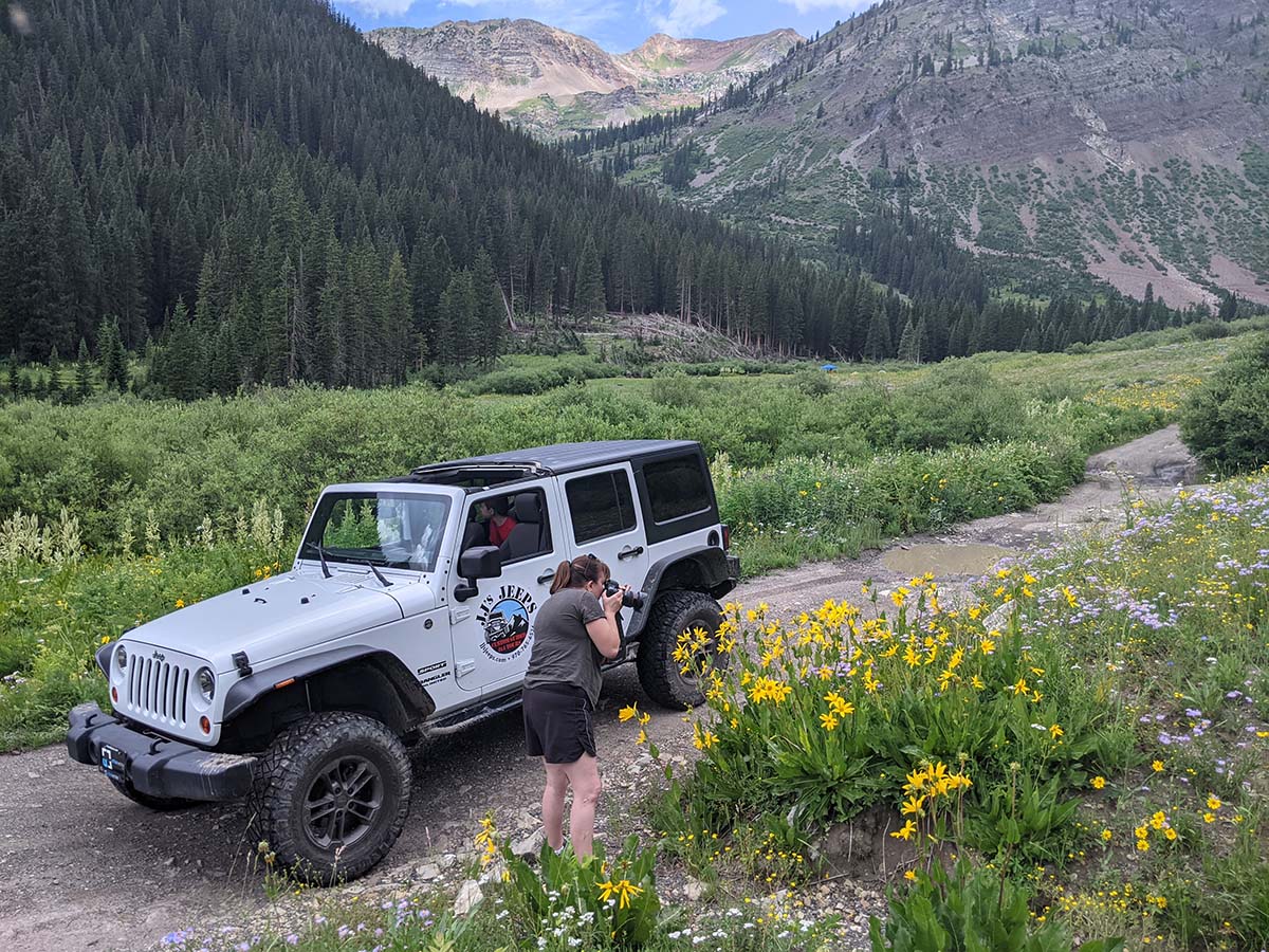 Crested Butte Wildflower Jeep Tour - JJ's Jeep Tours