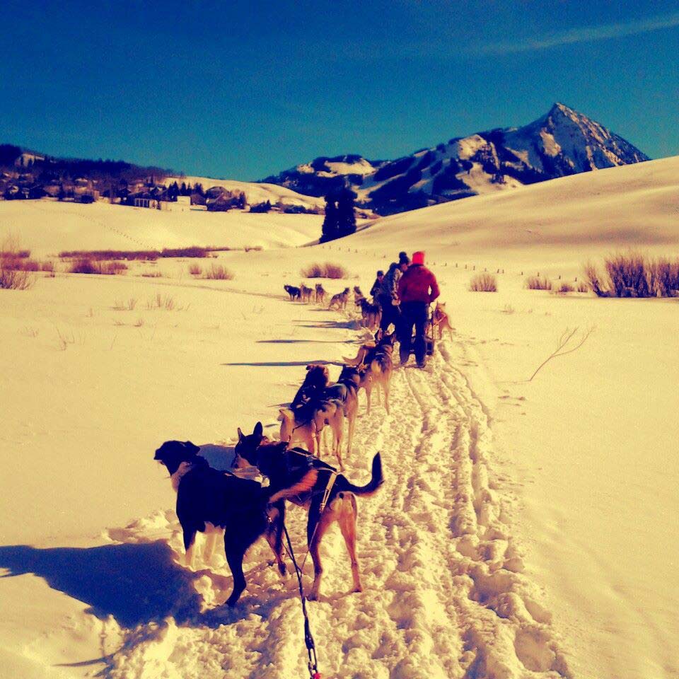 Cosmic Cruiser Sled Dog Tours - Crested Butte Colorado