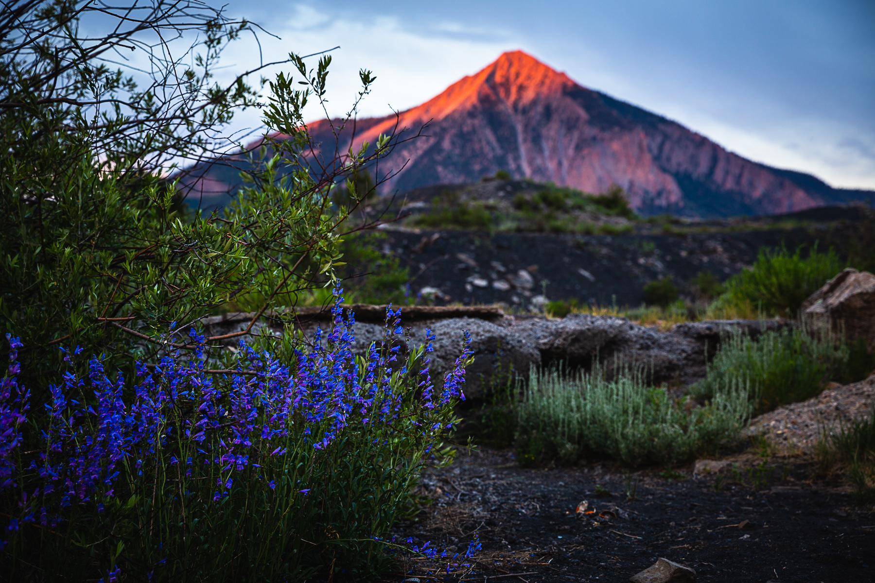 Crested Butte Colorado Travel Guide